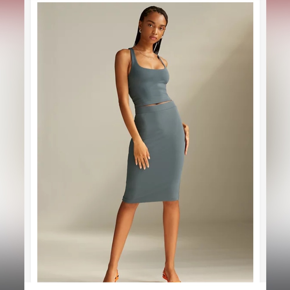 NWT Babaton “Contour” skirt
